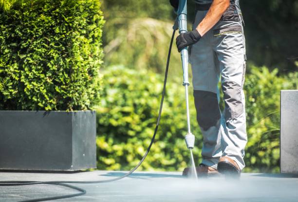 Best Animal Enclosure Cleaning  in Pojoaque, NM